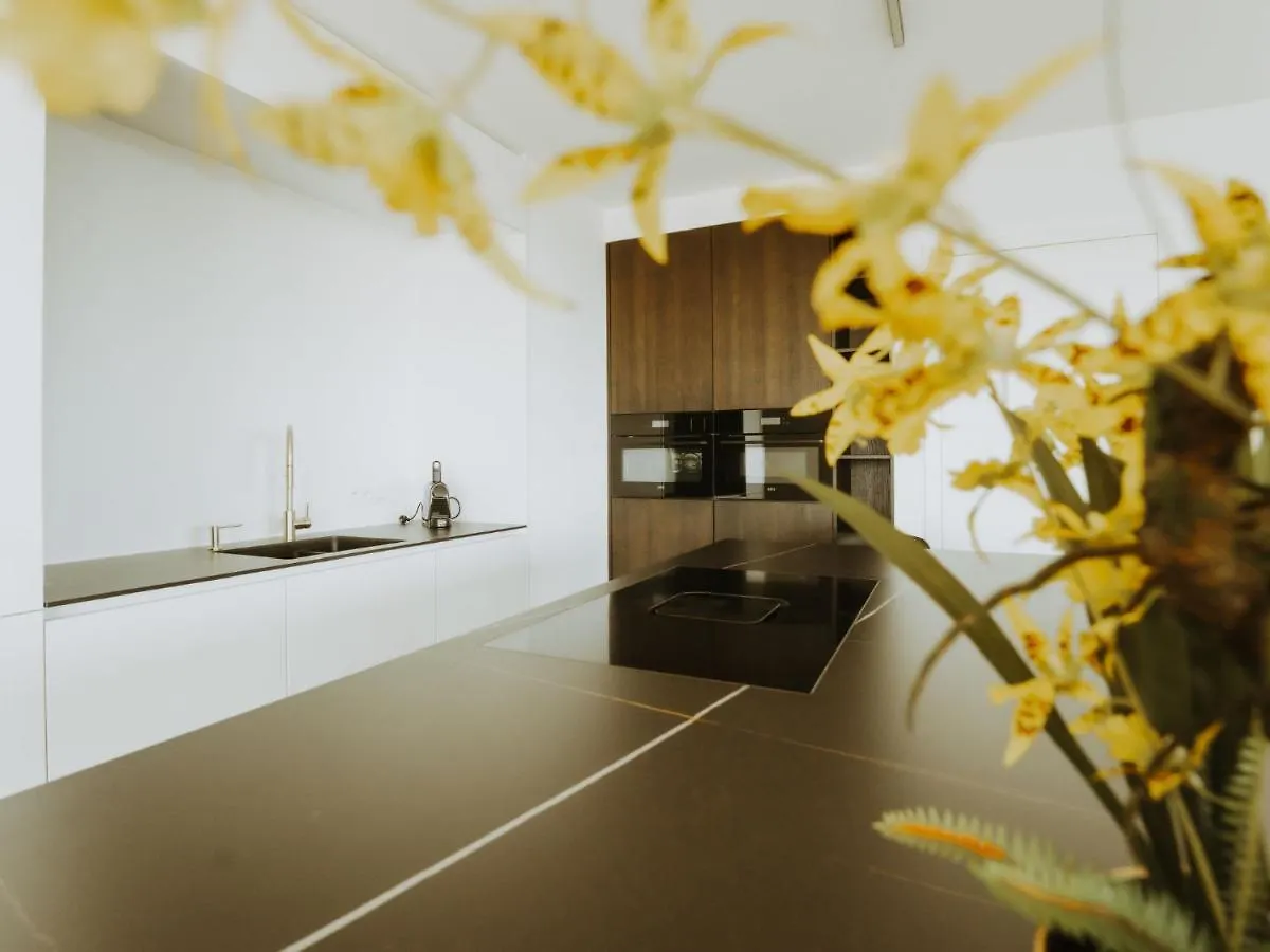 Apartment Sky Tower One By Interhome Ostend